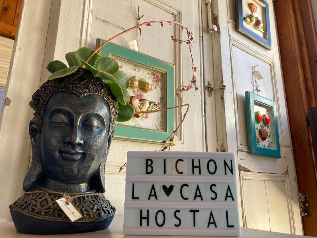 Bichon La Casa Hostal Pichilemu Extérieur photo