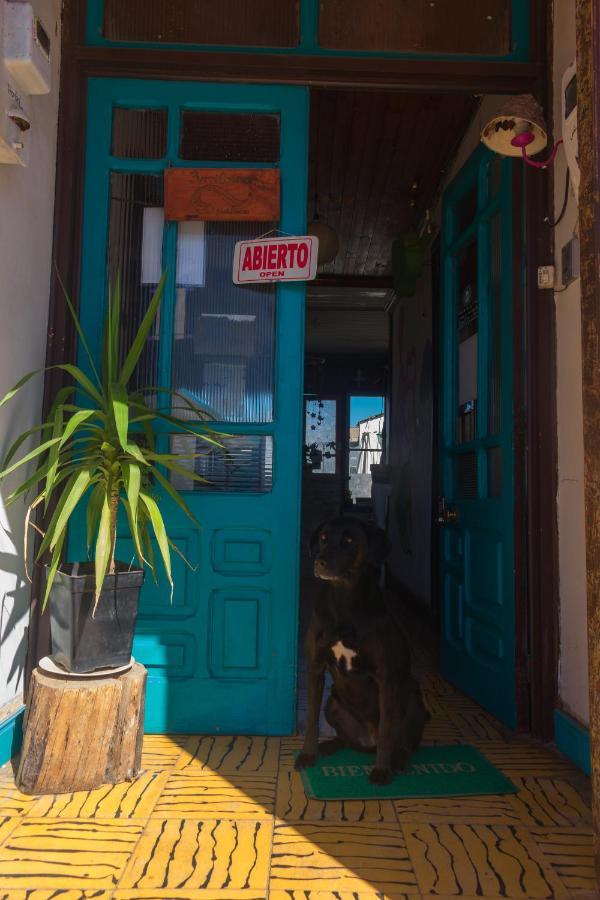 Bichon La Casa Hostal Pichilemu Extérieur photo